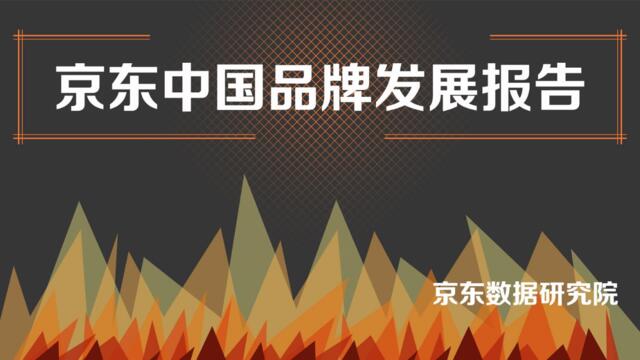 京东数据研究院：京东中国品牌成长报告