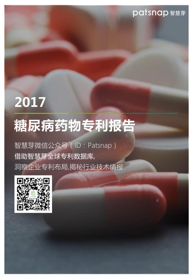 2017糖尿病药物专利报告