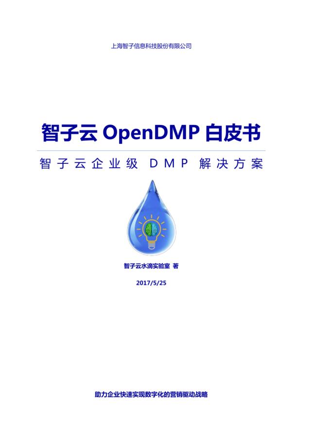 智子云OpenDMP白皮书
