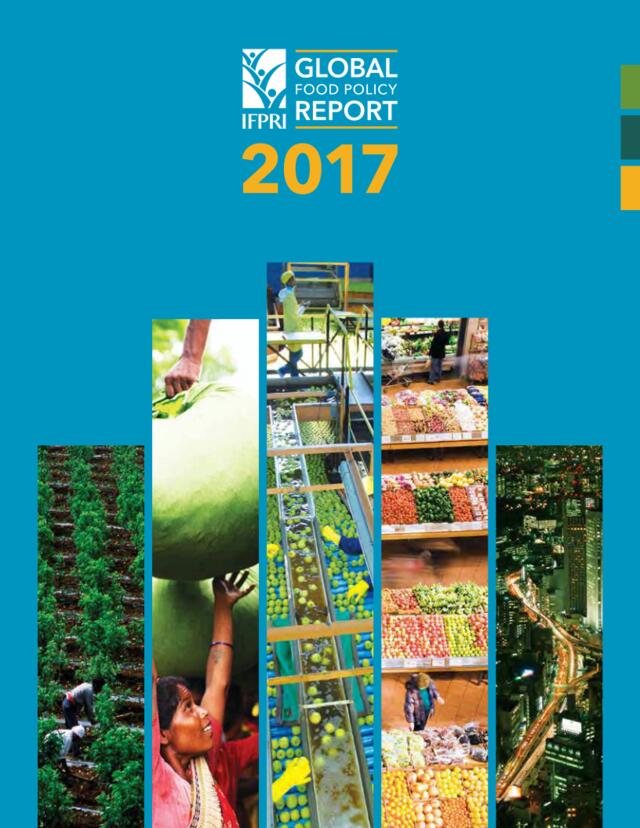 2017全球粮食政策报告（英文版）