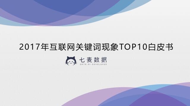 2017年互联网关键词现象TOP10白皮书