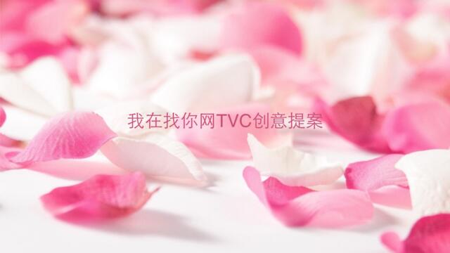 我在找你网TVC创意提案