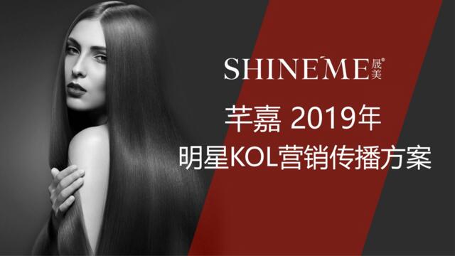 2019立白明星KOL营销传播方案(1)