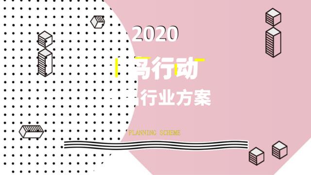 20200512-2020年食品类直播带货方案