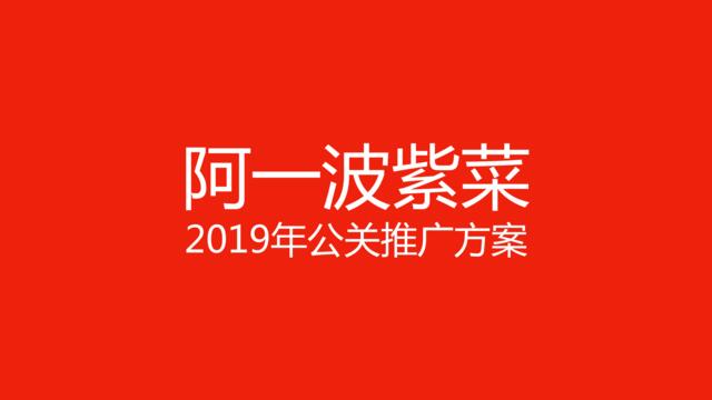 2019阿一波紫菜公关推广方案