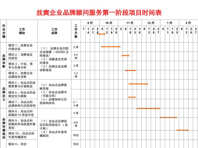 丝爽第一阶段品牌规划工作内容及步骤1224