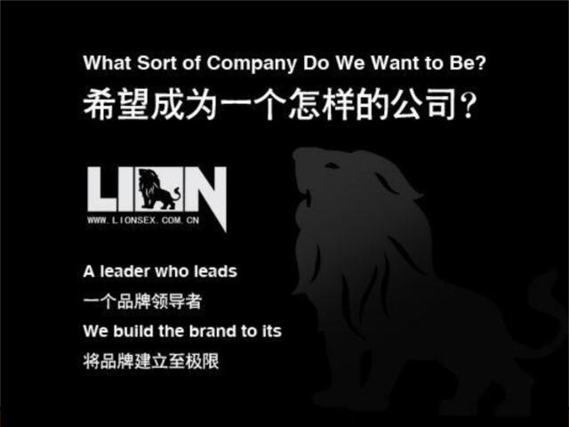 服装-LION男士内衣品牌推广方案2008
