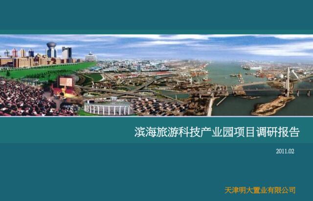 2011年02月天津滨海旅游科技产业园项目调研报告