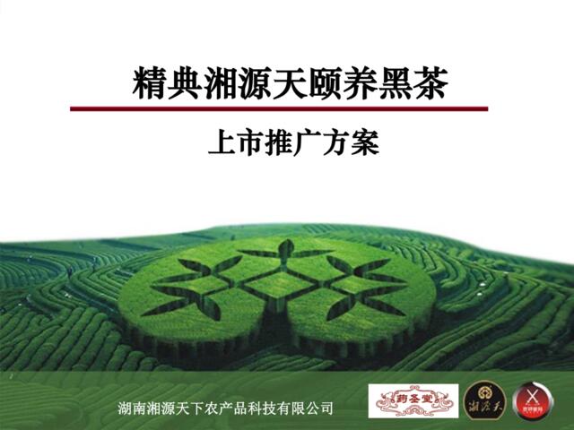 湘源天养生黑茶产品上市推广方案