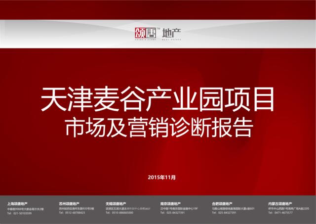 20151110天津麦谷项目市场及营销诊断报告