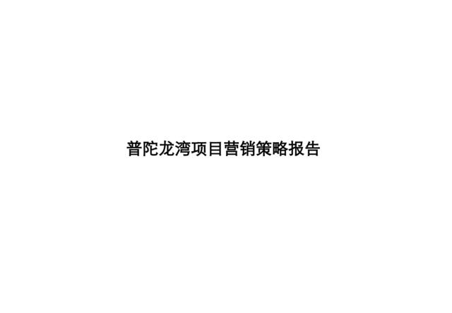 201502襄阳普陀龙湾营销策略执行报告212303950