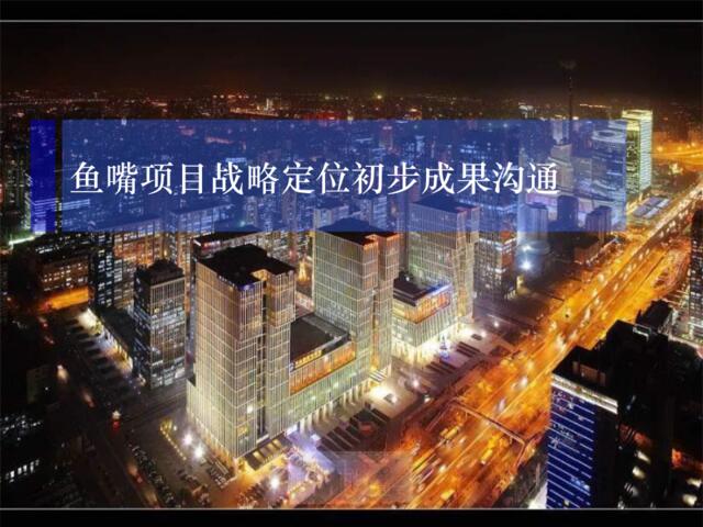 2011年重庆鱼嘴项目战略定位初步成果沟通
