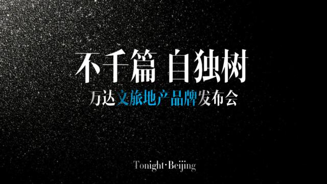 智和光年——不千篇自独树万达品牌北京发布会11.27