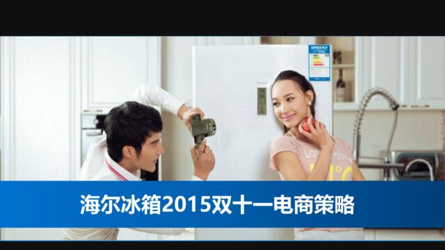 【白金会】2015海尔冰箱双十一电商策略-34P