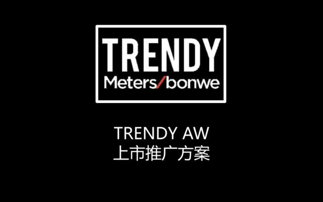 【白金会】20180508-2017美特斯邦威上市推广方案