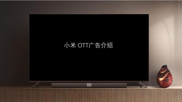 【白金会】20180731-小米-OTT营销指南