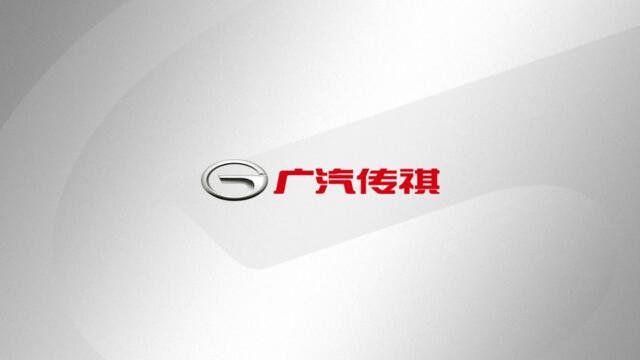广汽传祺品牌及SUV+轿车年案&1、2月规划(4)