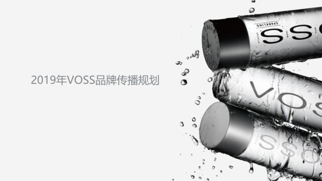 20200415-2019年VOSS品牌传播规划