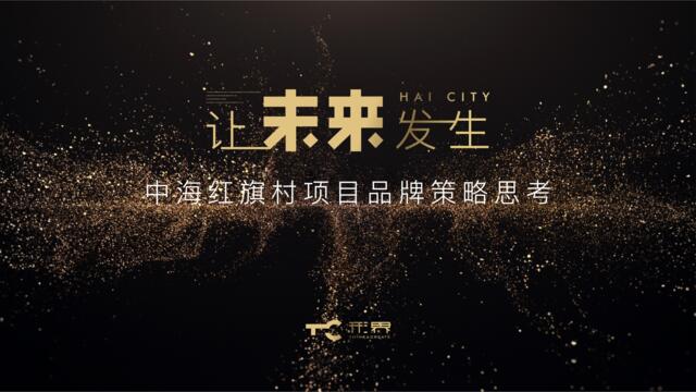 20200509-2019上海普陀区超级城市再开发项目推广提报方案