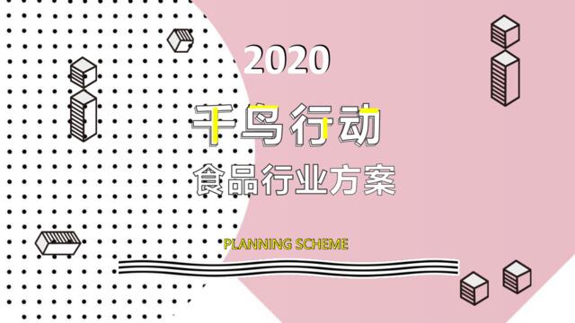 20200512-2020年食品类直播带货方案