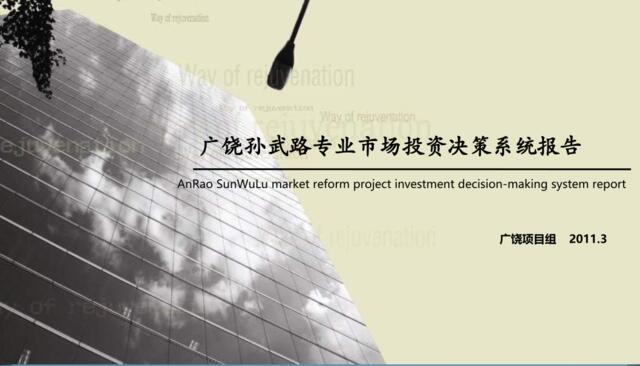 2011年3月东营市广饶孙武路专业市场投资决策系统报告