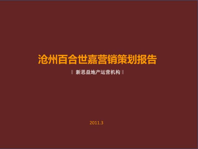 2011年3月沧州百合世嘉营销策划报告