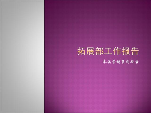 2011年本溪某商业项目营销策划报告