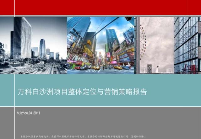 中原2011年04月武汉市万科白沙洲项目整体定位与营销策略报告