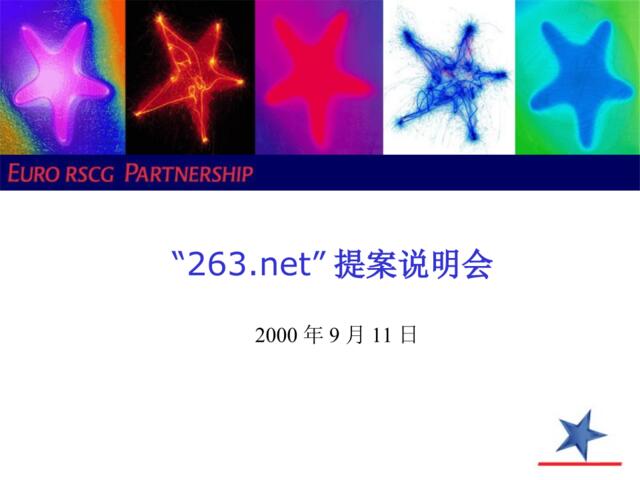 “263.net”提案说明会