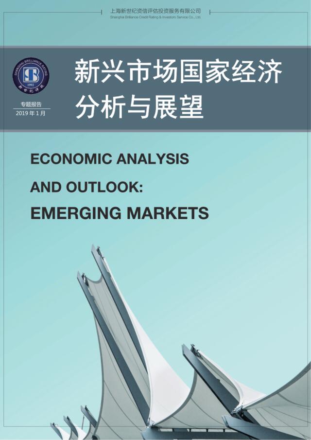 新世纪评级-2019新兴市场国家经济分析与展望-2019.1-43页