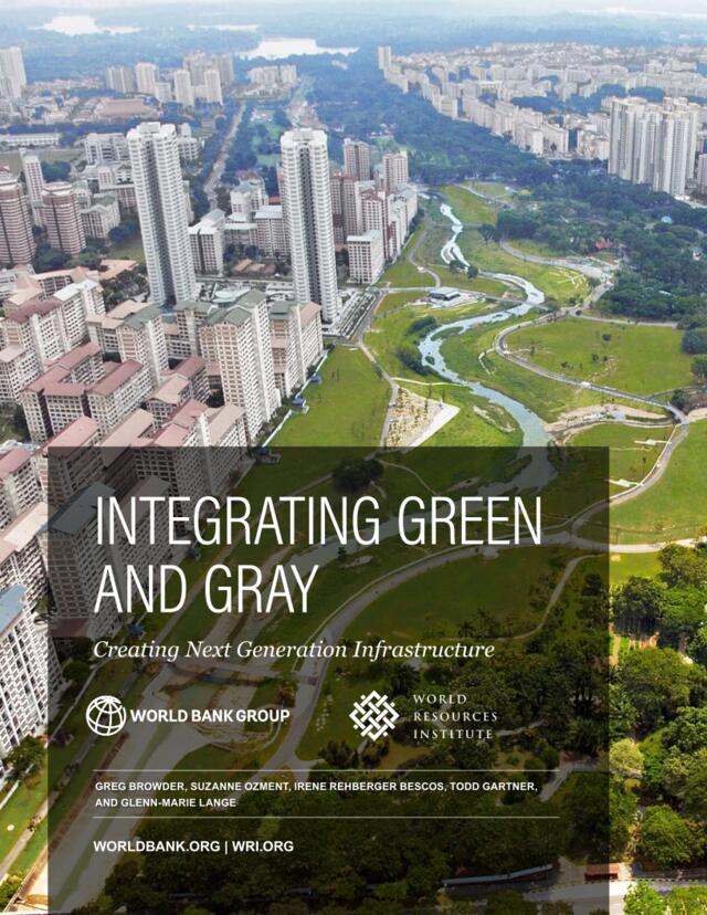 世界银行-整合绿色和灰色：创建下一代基础设施（英文）-2019.3-140页