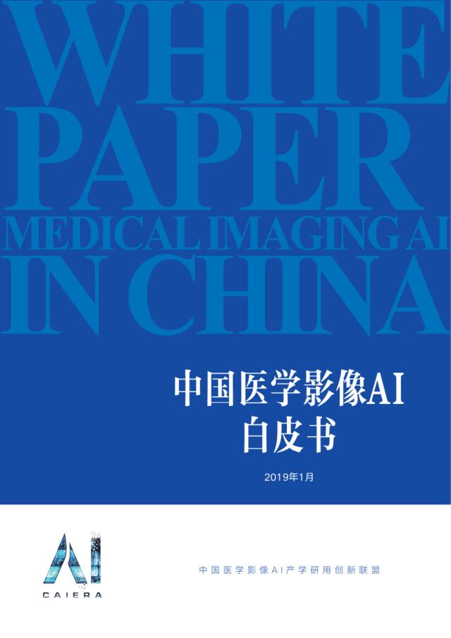 动脉网-中国医学影像AI白皮书-2019.3-42页