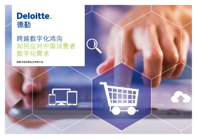 跨越数字化鸿沟--如何应对中国消费者数字化需求-zh-151103