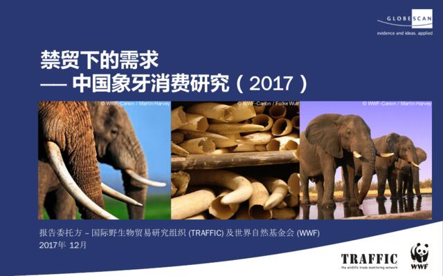 2017中国象牙消费研究：禁贸下的需求-2017.12-110页