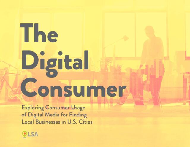 Thesa-网络消费者与本地企业报告（英文）-2017-11页