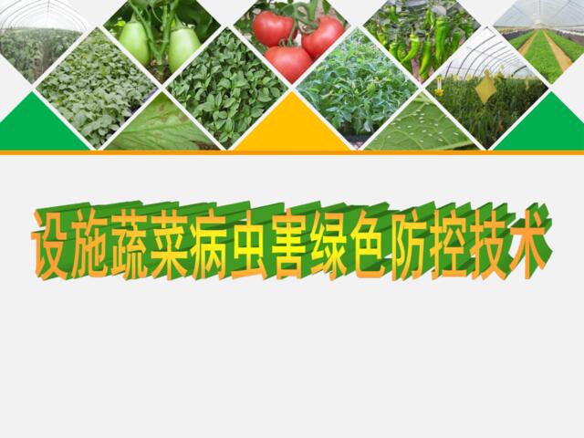 [0214]设施蔬菜绿色防控技术