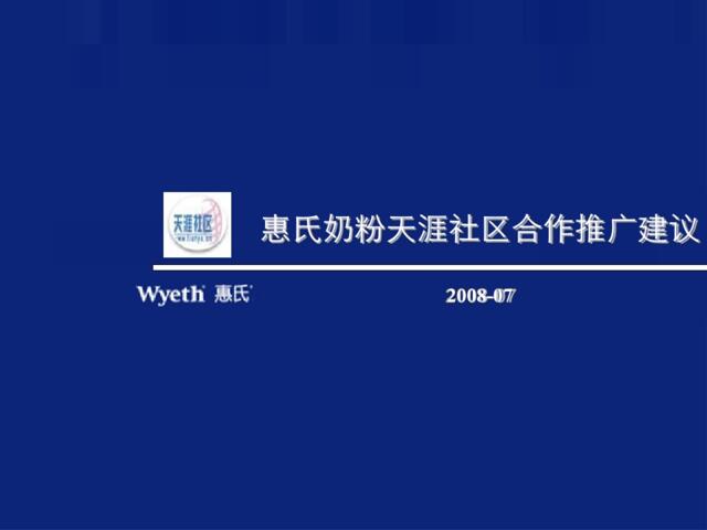 2008惠氏奶粉天涯社区合作推广建议-28p